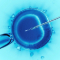 IVF