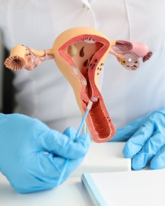  Cervical biopsy 